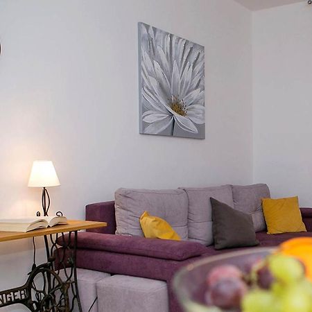 Apartment Sweet Daisy With Parking Zadar Exteriör bild